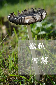 微粒貸提前還款導(dǎo)致無法借款，如何解決？